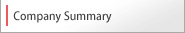 Company Summary