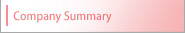 Company Summary